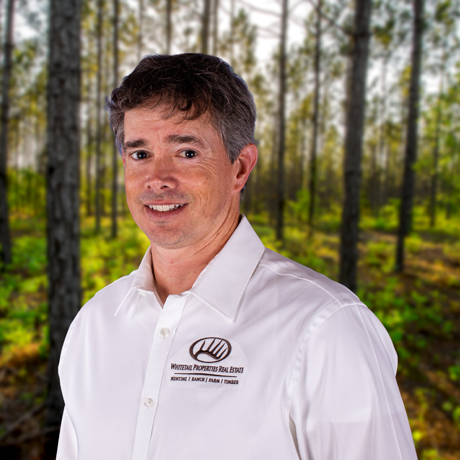 Chipper Gibbes Profile