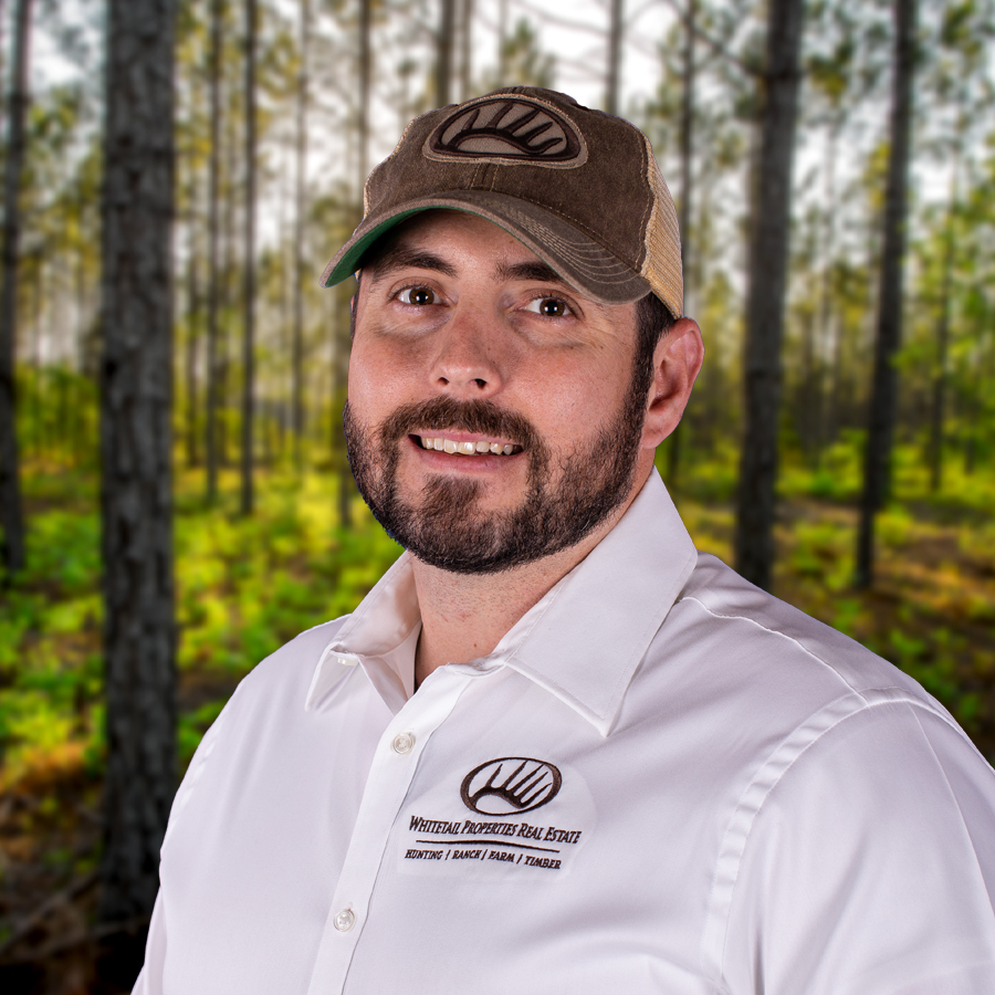 Brandon Hutchison Profile