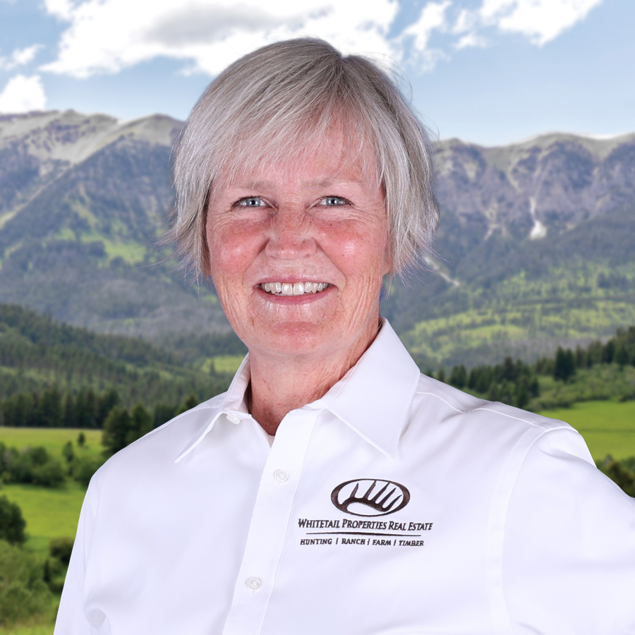 Ann White Profile Image