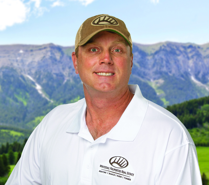 Aaron Buscher Profile