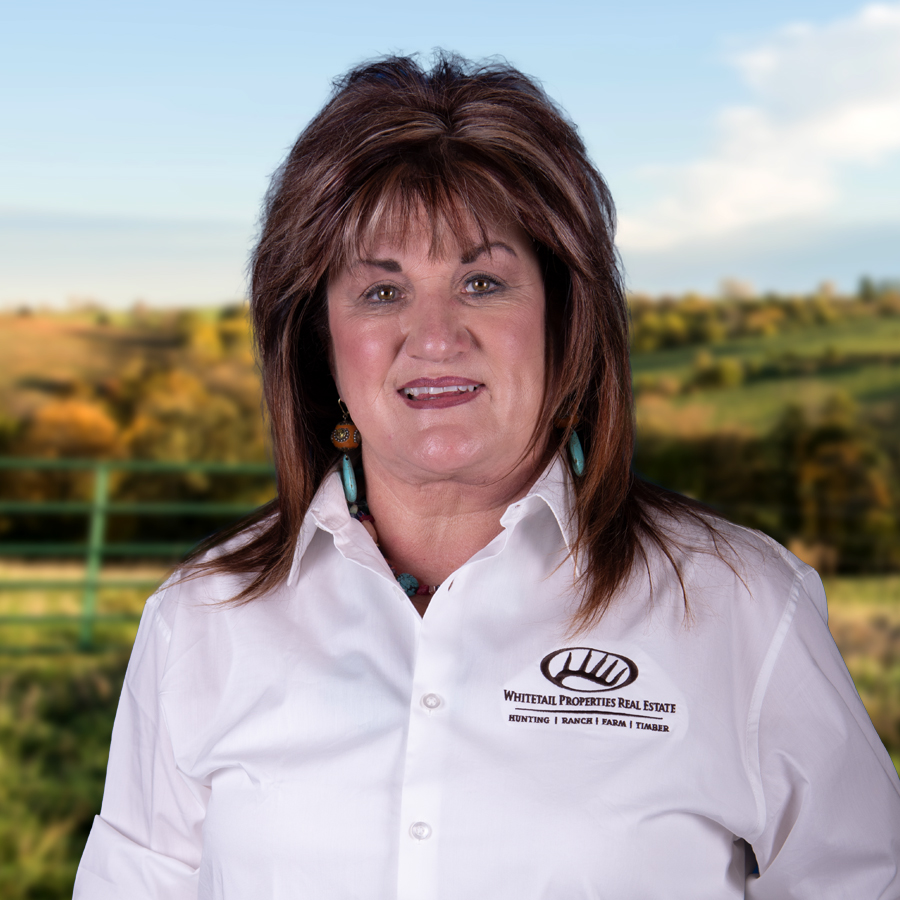 Sybil Stewart Profile