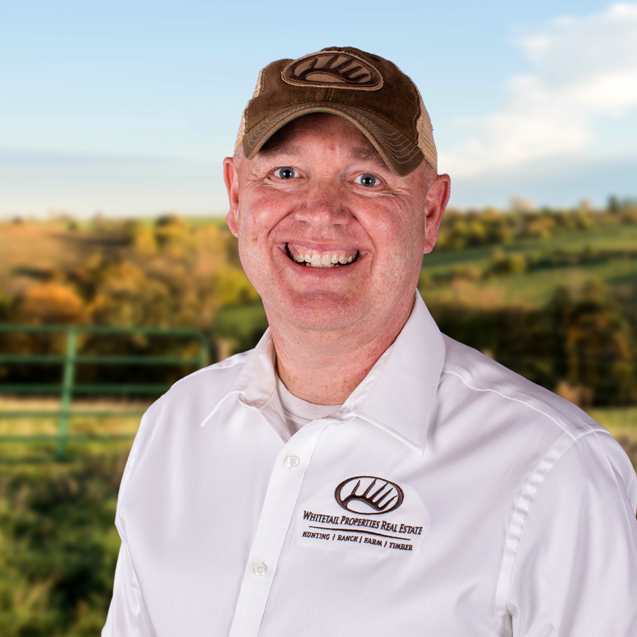 David Pritchard Profile