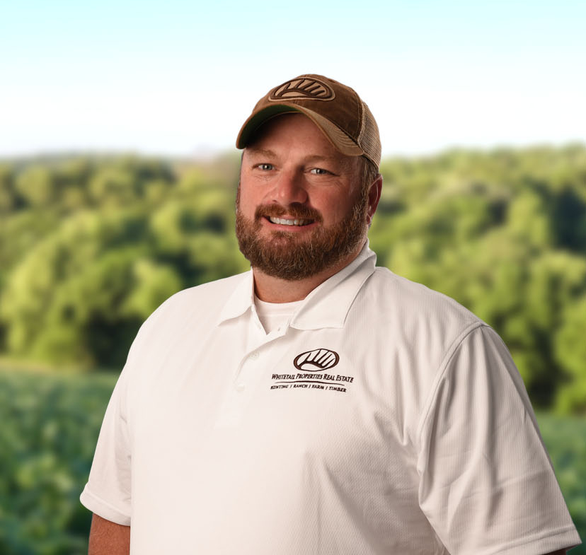 Stephen French Profile