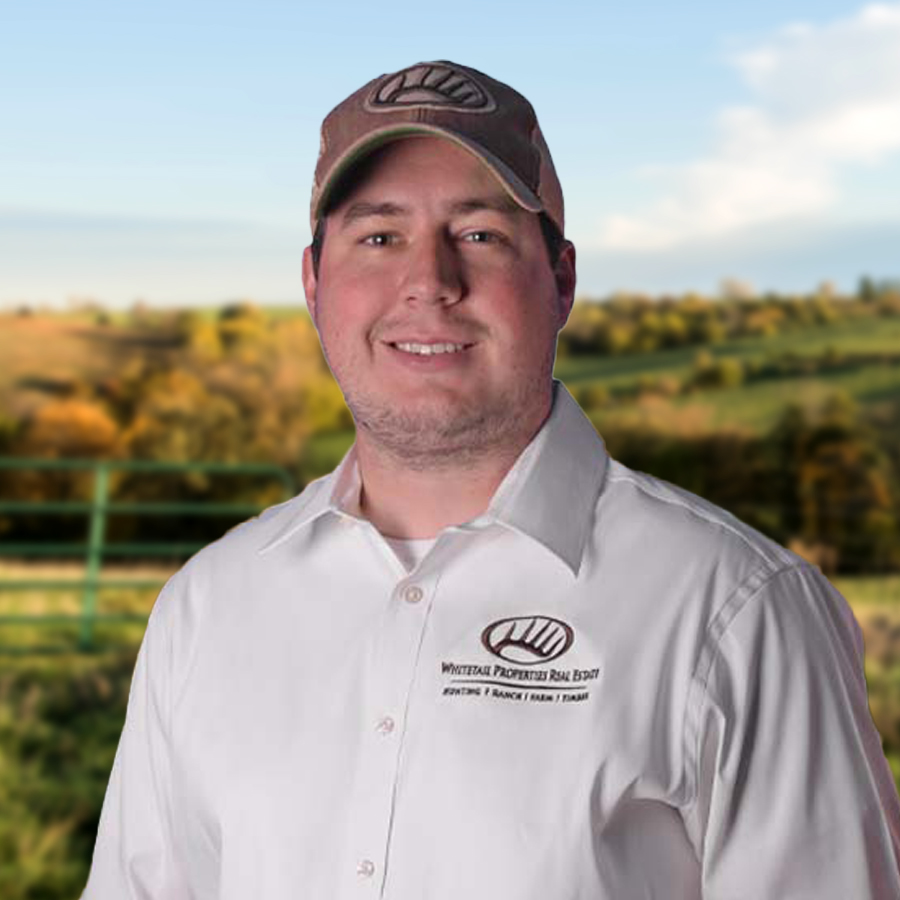 Matthew Martin Profile