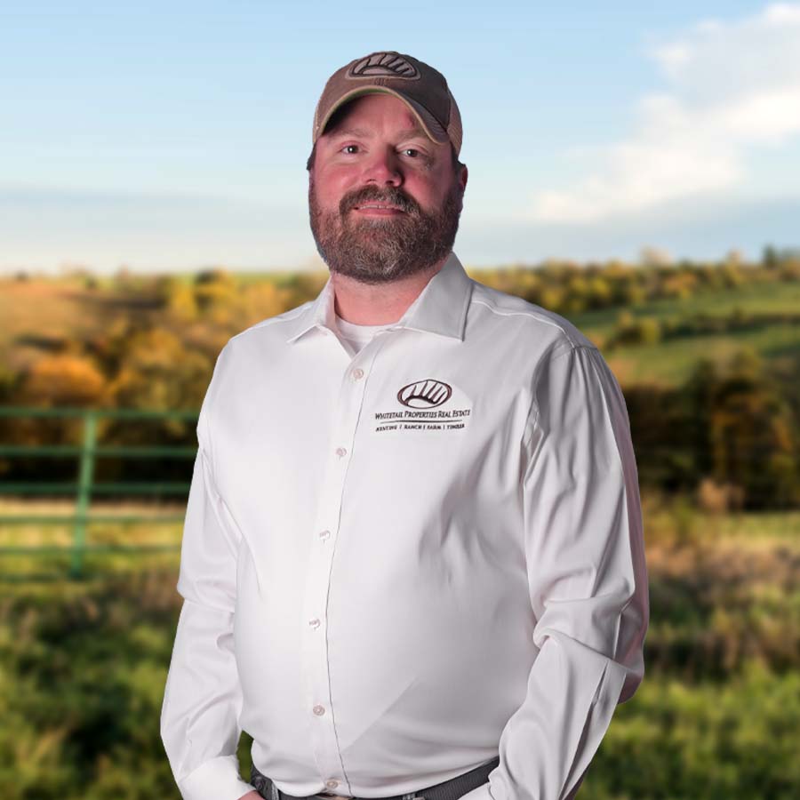 Joe Morrison Profile