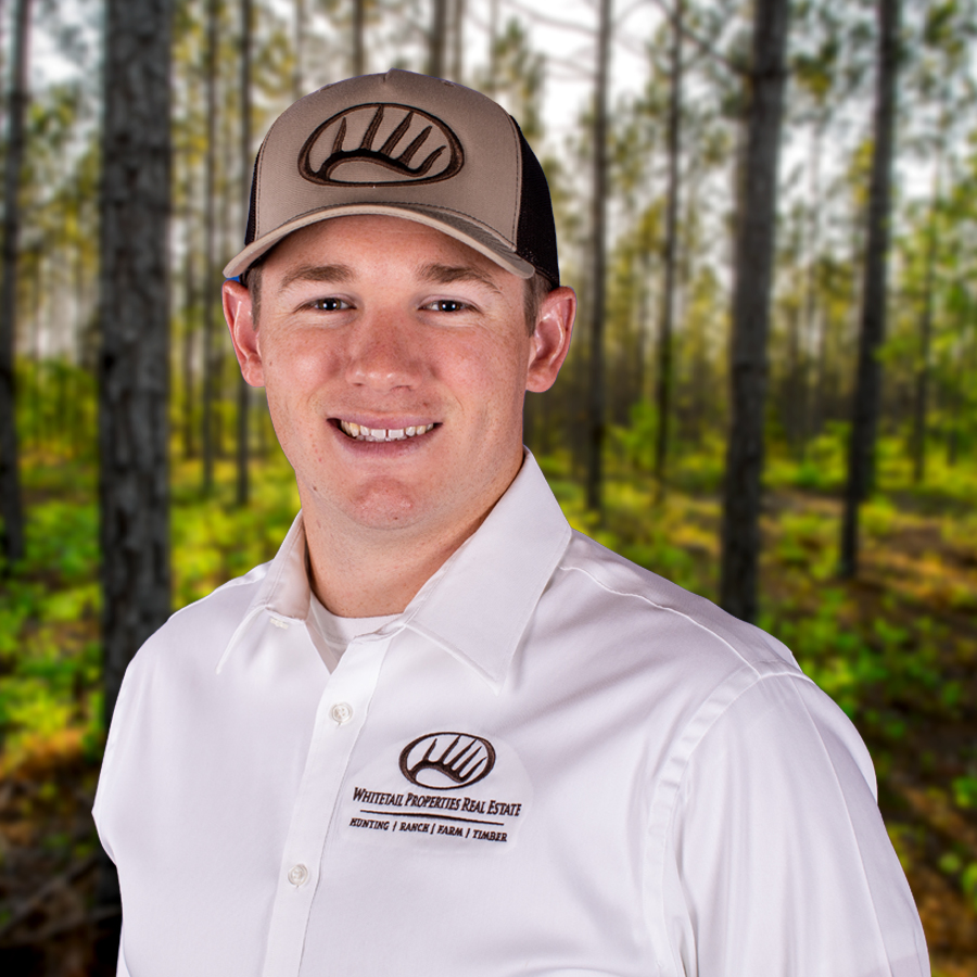 James Walker Profile