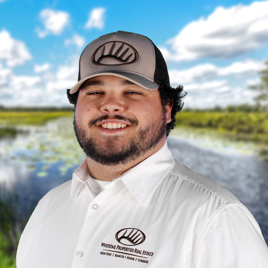 Nick Weaver Profile Image