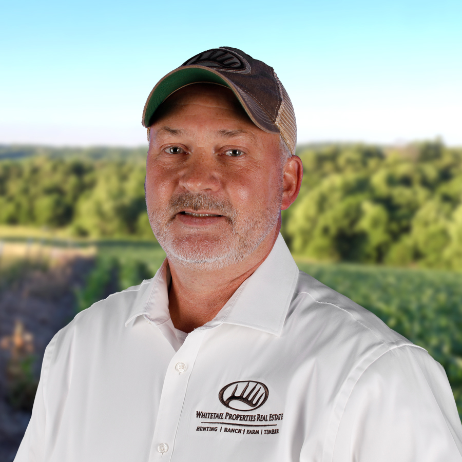 Clarence Eddy Profile