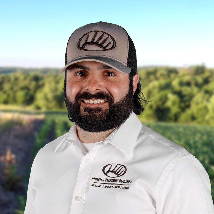 Josh Freeland Profile