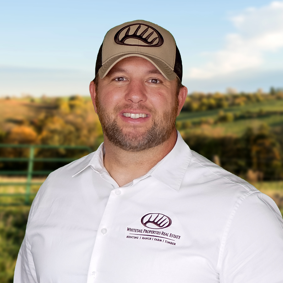 Derek Phillips Profile