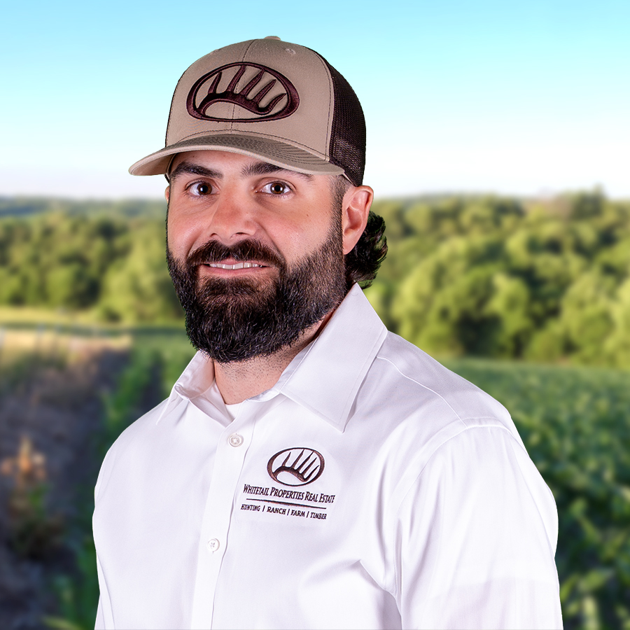 Josh Freeland Profile Image