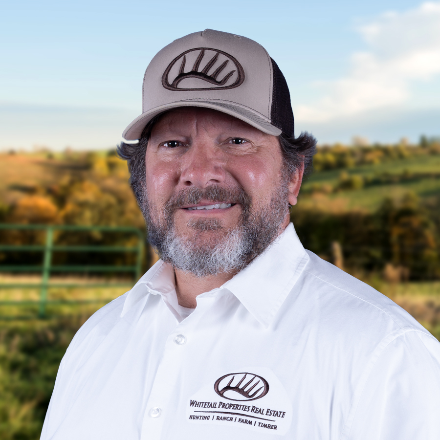 Jeff Phillips Profile