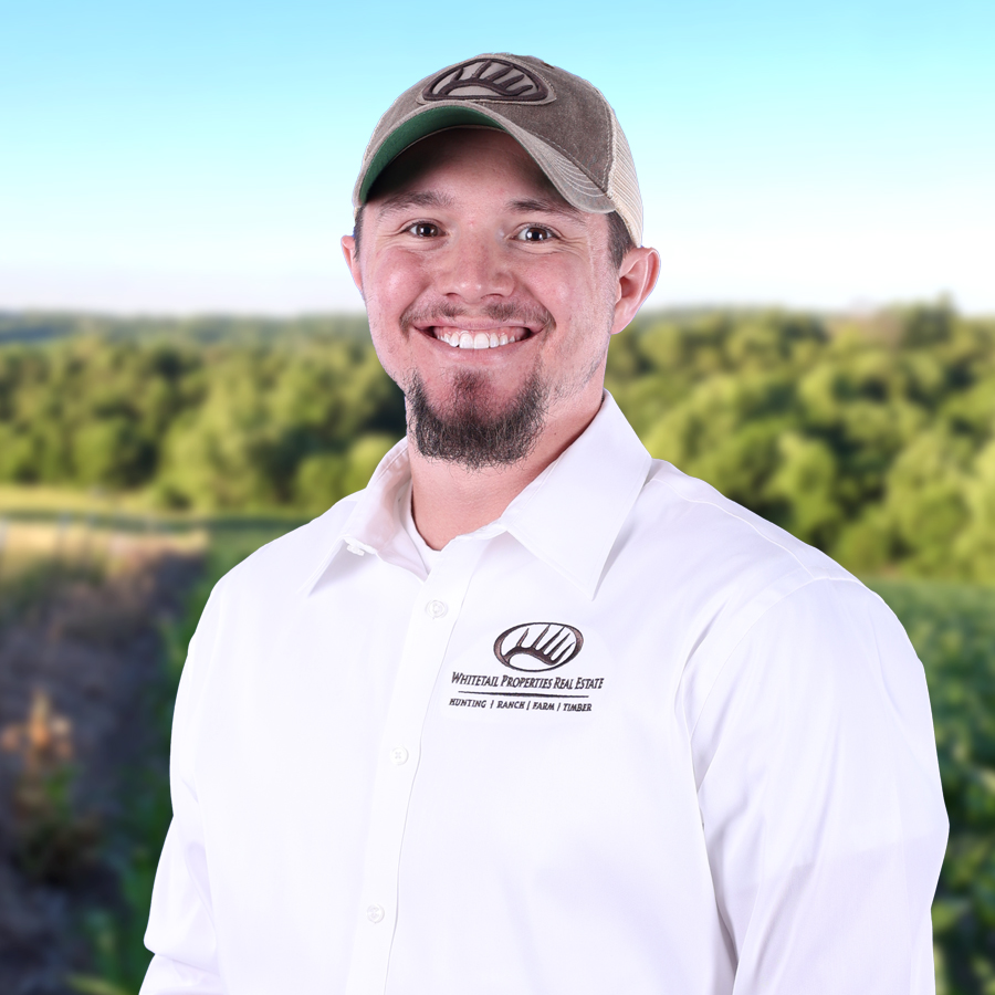 Dalton Michael Profile