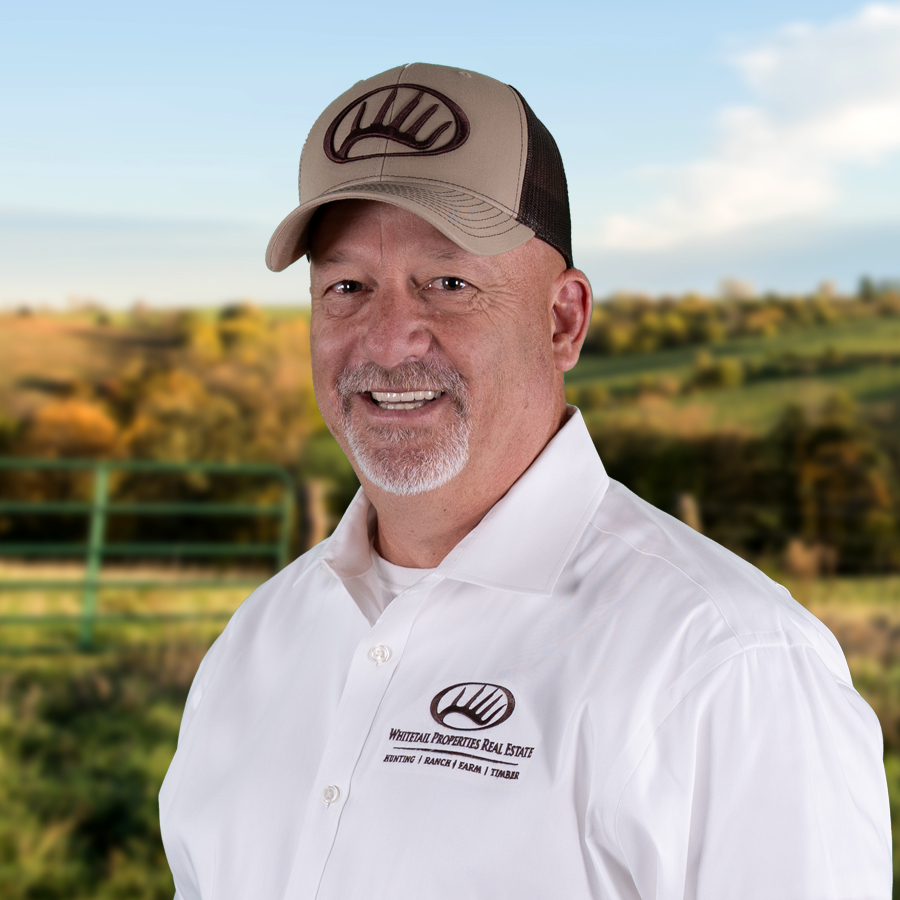 Mitch Serlin Profile Headshot