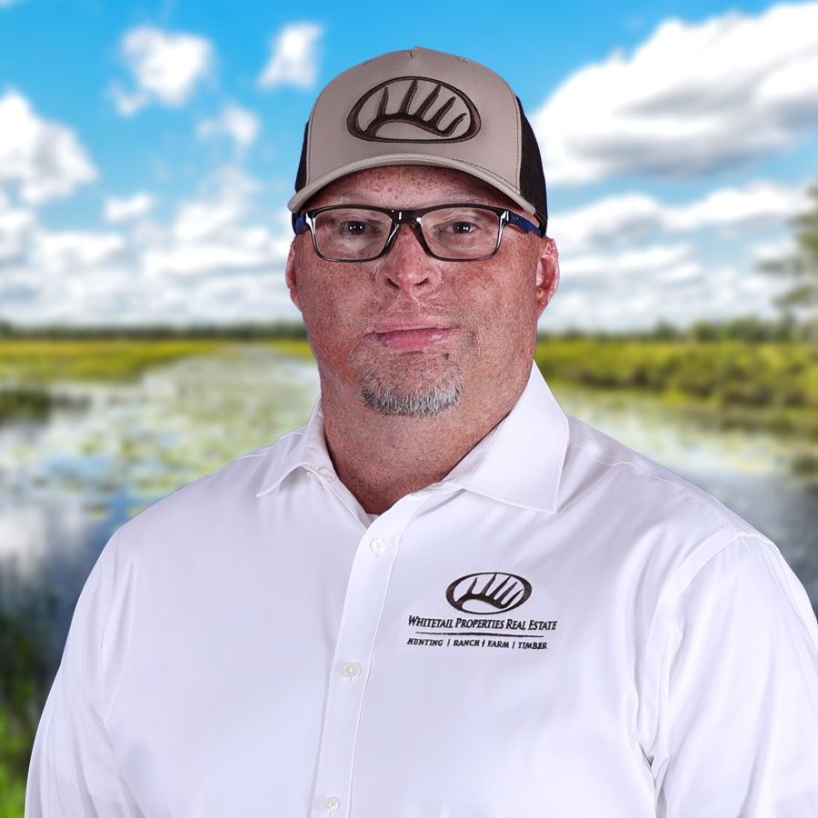 Allen Seymour Profile