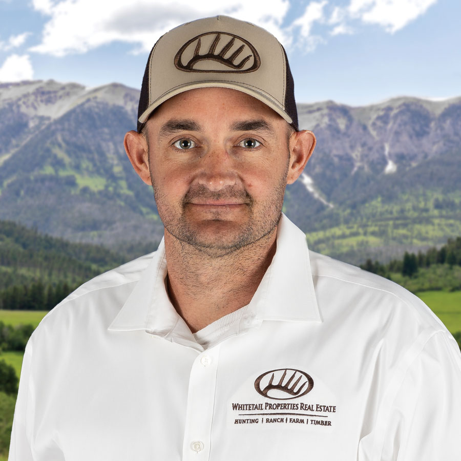 Forrest Lewton Profile