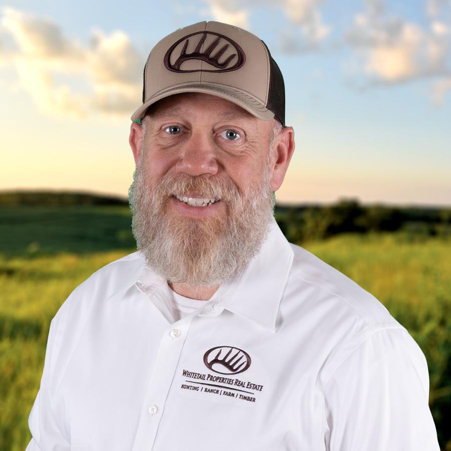 Dave Skinner Profile Image