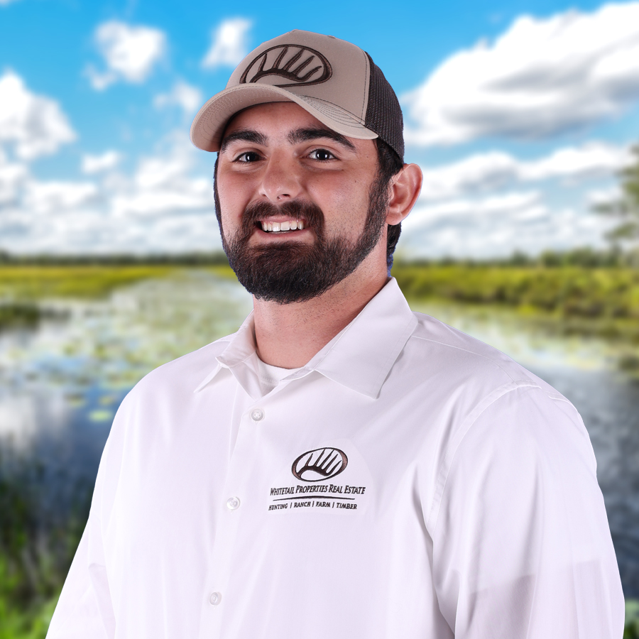 Brigston Vardy Profile