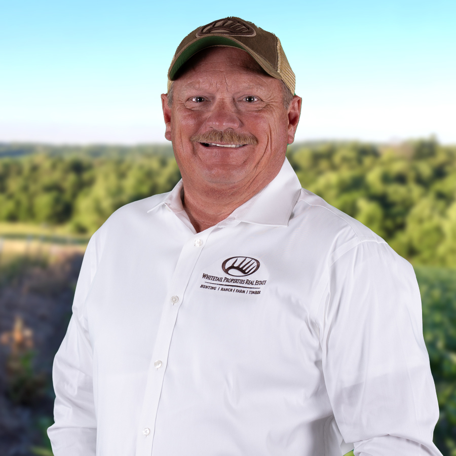 David Westmoreland Profile Image