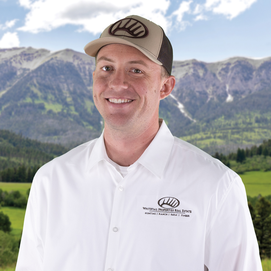 Alex Millward Profile