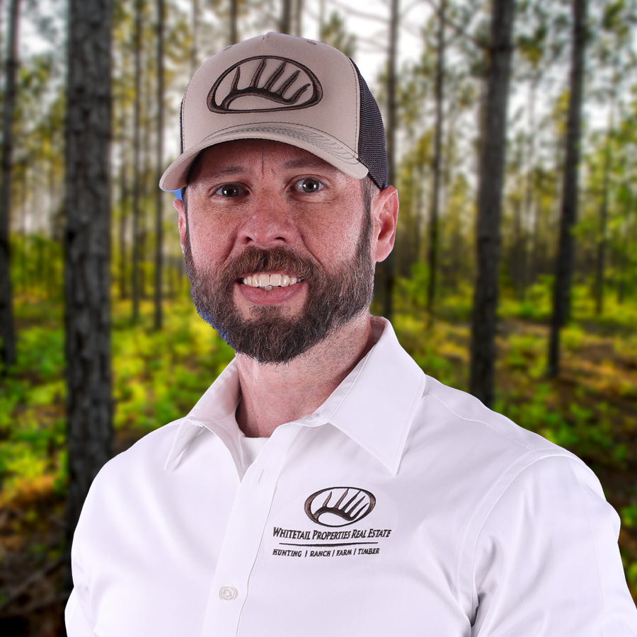 Matthew Sheffield Profile