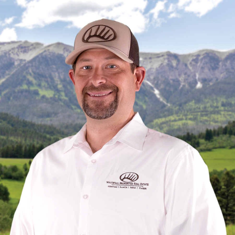 Ryan Stock Profile