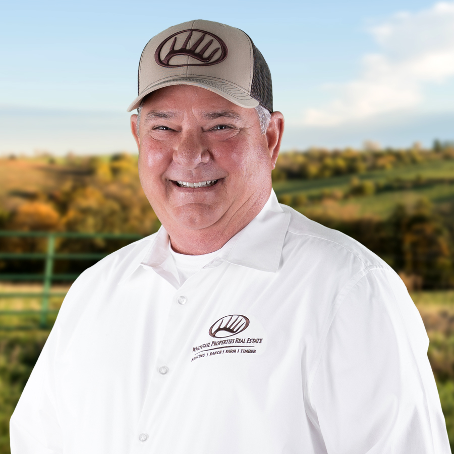 Dave Fisher Profile