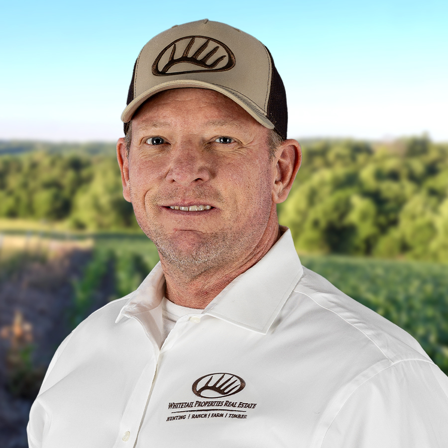 Wayne Kaufman Profile Image