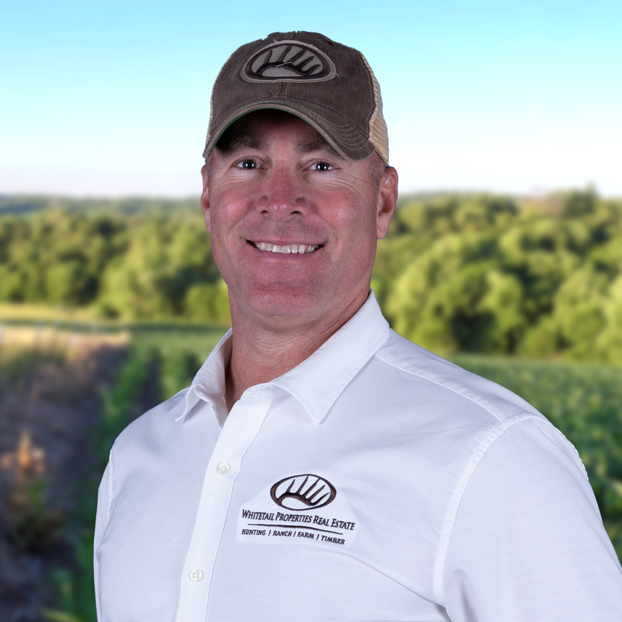 David Morgan Profile Image