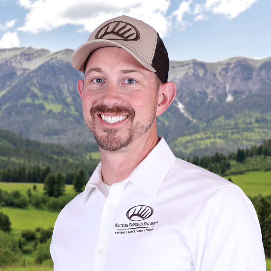 Andrew Heppe Profile