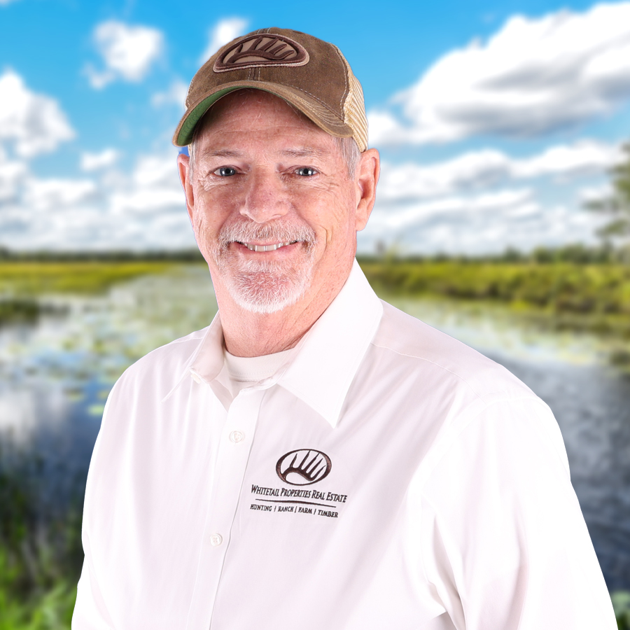 Tom Harrison Profile Image