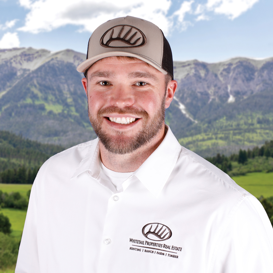 Brandon Hamilton Profile