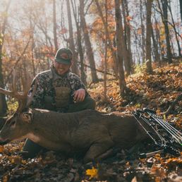 AS301785-Enhanced-NR 2