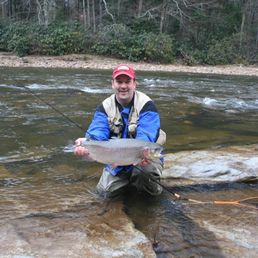 rainbow trout