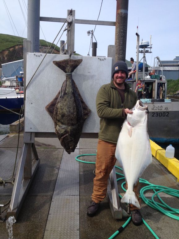 dutch harbor fish