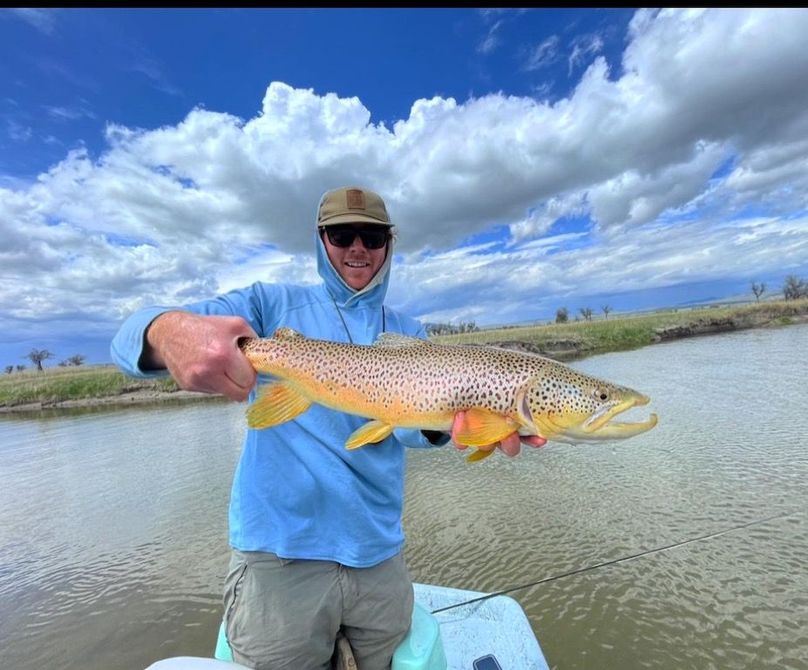 9BB91D2C-36D4-4D0A-9DA2-A97B0F0F9C81