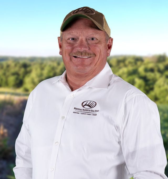 David Westmoreland (1)