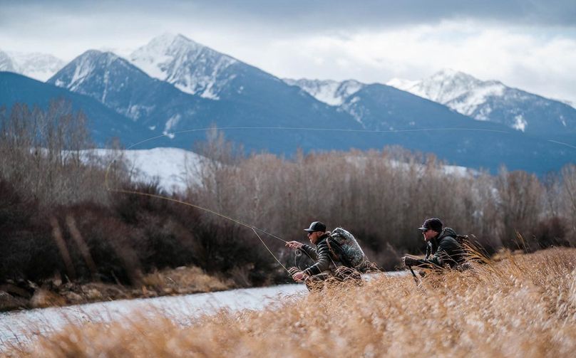 Fly Lords Pic_Cropped