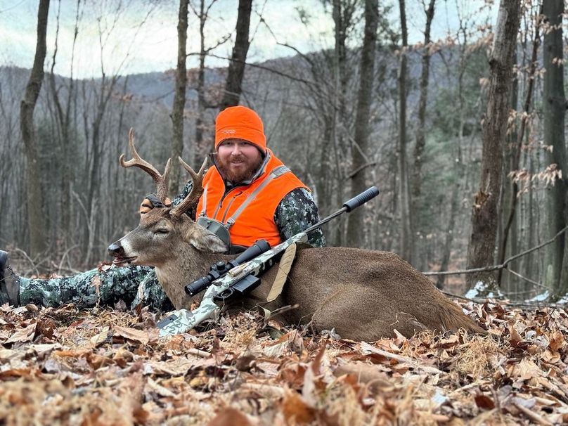 Whitetail Pic 4