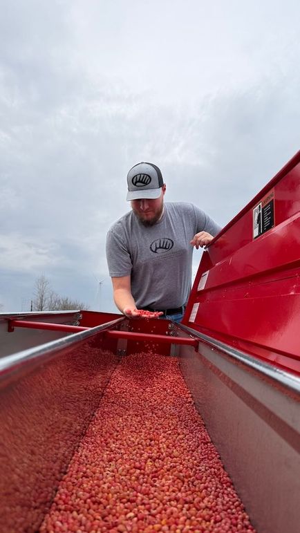 Soybean_Isabella County