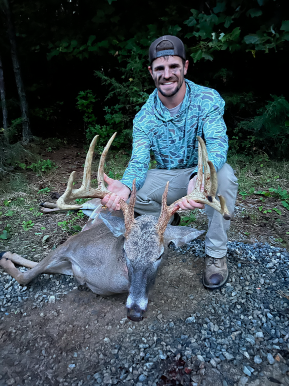 Deer