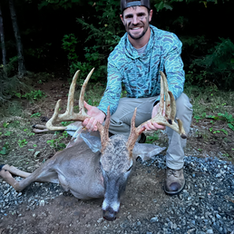 Deer