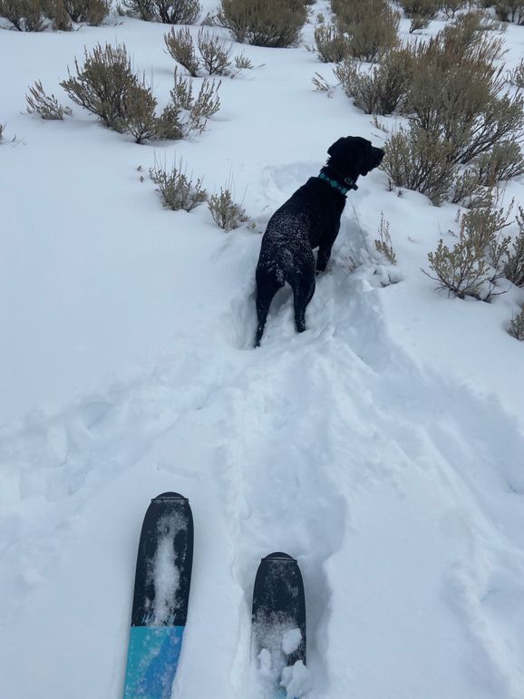 F0D2F0C3-57EB-471D-AAFD-0424A6DBC461 - Taylor Nitterhouse