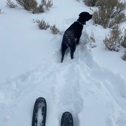 F0D2F0C3-57EB-471D-AAFD-0424A6DBC461 - Taylor Nitterhouse