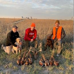 Screenshot 2024-02-15 at 9.34.33 AM copy