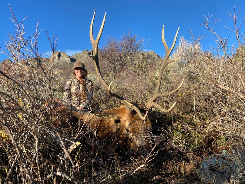 Taylor Nitterhouse Whitetail Properties