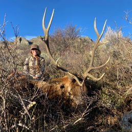 C4D60822-AE6A-47A1-8D67-542D97C5AD9A - Taylor Nitterhouse