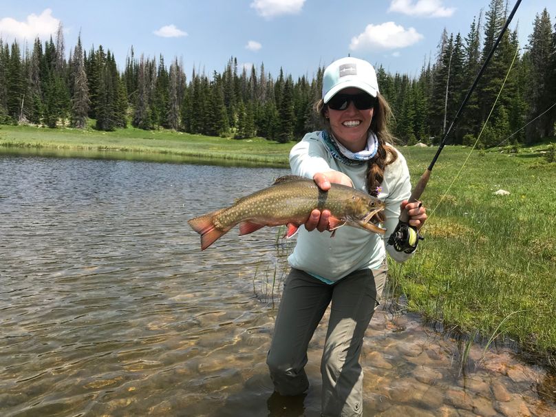 E726C6AB-6959-4AB8-992C-39D0A6462573 - Taylor Nitterhouse