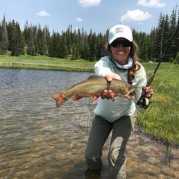 E726C6AB-6959-4AB8-992C-39D0A6462573 - Taylor Nitterhouse