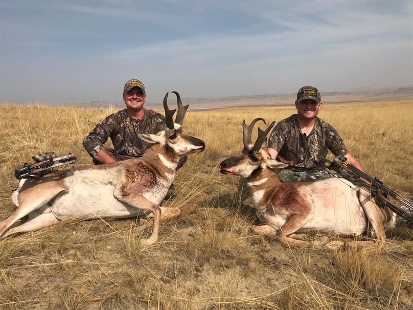 Wyoming antelope